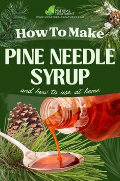 how to make pine needle syrup and how to use it for home remedishments