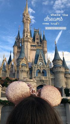 there is a castle that has been decorated with pink and gold sequins for the ears