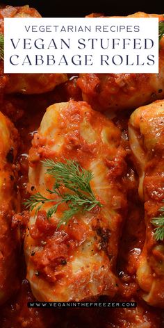 vegetarian stuffed cabbage rolls with red sauce and fresh herbs