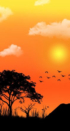 Safari Silhouette Collage Landscape Sun Twilight Trees Birds Scenery Spot Painting, Jungle Sunset Painting, Safari Silhouette, Sunset Indian, Sunset Safari Painting, Indian Sunset, Masjid Haram, Designer Poster, Sunset With Birds Flying