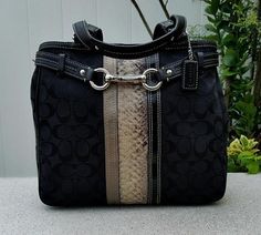 Coach Hamptons Black Signature C Python Stripe Carryall Tote Bag Purse Satchel #Coach #HandbagPurseSatchelTotes Cheap Coach Tote Satchel, Basic Essentials, Carryall Tote, Tote Bag Purse, Coach Bag, Michael Kors Hamilton, Coach Handbags, Python, Coach Bags