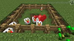 an image of some animals in a minecraft farm