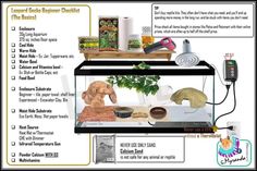 an image of a display case with different items in it and instructions on how to use it