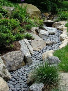 a garden with rocks and plants in it