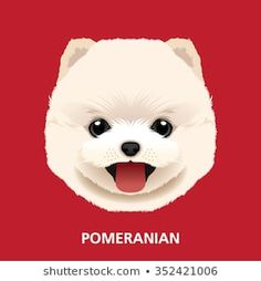 a white dog's face with the words pomeranian on it and its tongue out