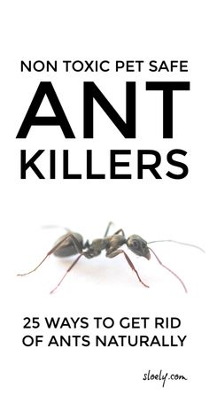 an ant killer is shown with the words, non - tonic pet safe ant killers