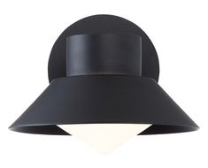 an image of a black light fixture