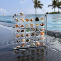 a glass block with shells in it sitting on the edge of a pool