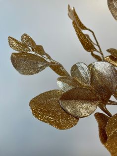 a close up view of some gold leaves on a branch with sky in the background