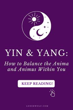 yin and yang how to balance the anima and animals within you book cover with text