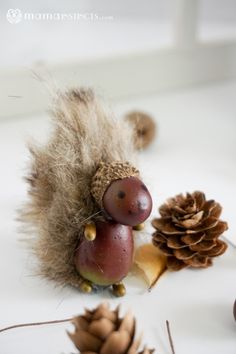 some pine cones are sitting on the table next to nuts and acorns that have been placed around them