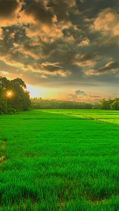 the sun shines brightly through clouds over a green field