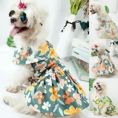 a white dog wearing a dress with flowers on it