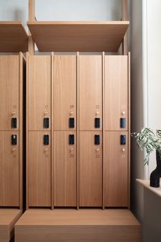 several wooden lockers are lined up against the wall with plants in vases next to them