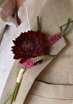 a man in a suit and tie with a flower on his lapel, the text reads red dahla boutonniere article from flickr for men please visit