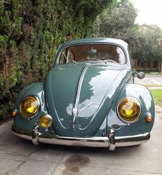 an old green car parked in front of a bush