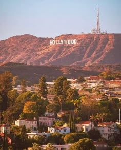 hollywood sign on top of a hill with trees in the foreground