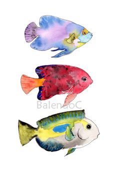 three different colored fish are shown in this watercolor painting style, each with an individual's own name