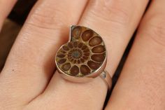 Ammonite Ring Size 7 Approx. Dimensions: 0.8x0.65 inches Ammonite ring set in sterling silver. Size 7. Ammonite Ring, Ring Size 7, Ring Set, Ring Sets, Ring Size, Size 7, Sterling Silver, Ring, Silver