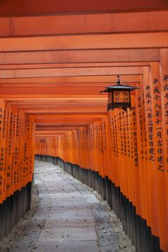 an alley lined with rows of orange torii gates and lanterns hanging from the ceiling