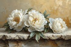 three white peonies on a stone ledge