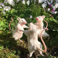 two toy mice playing with each other on the ground in front of flowers and grass