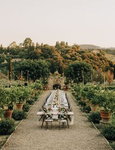 an outdoor dining table set up in the middle of a garden with potted plants