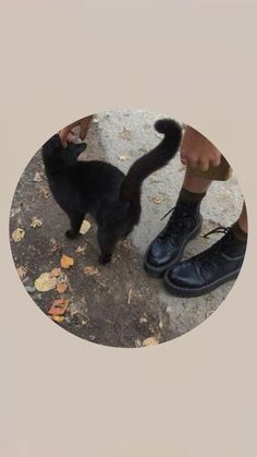 a black cat standing next to a person's feet on the ground with shoes