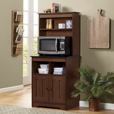 a microwave oven sitting on top of a wooden cabinet next to a potted plant