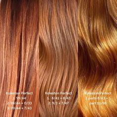 Wella Education, Ion Hair Colors, Copper Blonde Hair, Red Copper Hair Color, Wella Hair Color, Medium Hair Color, Strawberry Blonde Hair Color, Bronze Hair, Professional Hair Color