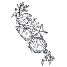 an ink drawing of seashells and starfish