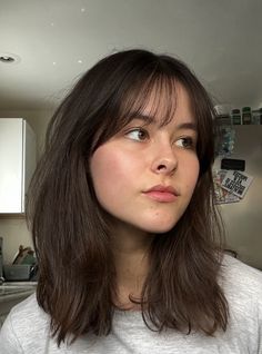 Hair Bangstyle For Round Face, Wispy Bangs Above Eyebrows, Wispy Bangs Lob, Short Curtain Bangs With Glasses, Straight Hair Bangs Medium, Long Bob Wispy Bangs, Layered Lob Haircut With Curtain Bangs, Short Brown Hair With Bangs And Layers, Curtain Bangs Wispy Fringe