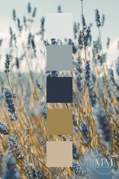 the color scheme is blue, brown, and white with lavenders in it's foreground