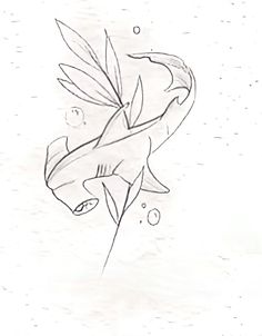 a drawing of a fish with wings on it's back