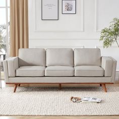 a living room scene with focus on the sofa and rugs, there is a plant in the foreground