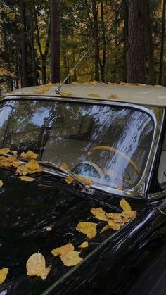 an old black car with leaves on the windshield