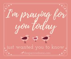 two birds sitting on top of each other with the words i'm praying for you today