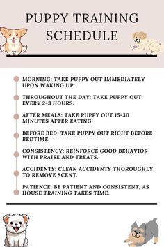 the puppy training schedule is shown with instructions for how to use it and what to do