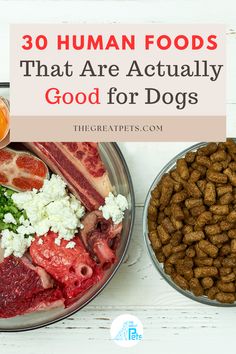 30 Human Foods That Are Actually Good for Dogs Foods Puppies Can Eat, Best Human Foods For Dogs, What Human Food Can Puppies Eat, People Food Dogs Can Eat, Human Food Dogs Can Eat, Nutritious Dog Treats, Natural Foods For Dogs, Foods Dogs Can And Cant Eat, Dog Safe Human Food