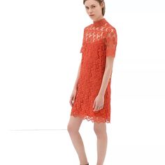 Zara Crochet Coral Dress New With Tags Size : S Short Sleeve Lace Dress For Cocktail, Elegant Orange Short Sleeve Dress, Spring Lace Midi Dress For Workwear, Chic Lace Dress For Spring Workwear, Chic Lace Dress For Workwear In Spring, Spring Short Sleeve Lace Cocktail Dress, Orange Shift Dress For Spring, Spring Cocktail Lace Dress With Short Sleeves, Zara Fitted Lace Mini Dress