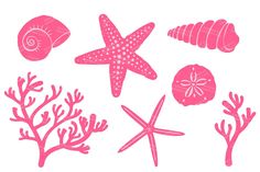 pink silhouettes of seashells, starfish and seaweed on a white background