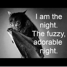 a black and white photo with the words i am the night, the fuzzy, adorable night