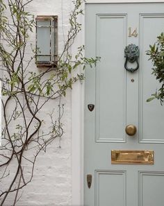 the front door is painted blue and has two plants growing on it's side