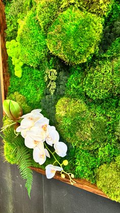 a moss wall with white flowers and green plants