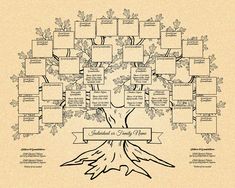 a family tree is shown with the names and dates in each section, as well as pictures