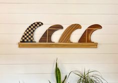 three wooden surfboards mounted to the side of a wall next to a potted plant