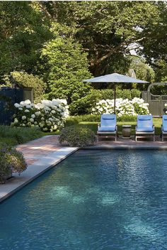 two lawn chairs sitting next to a swimming pool with an umbrella over it and white flowers in the background