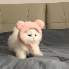 a white cat wearing a pink hat on top of a bed