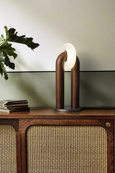 a table lamp sitting on top of a wooden cabinet next to a potted plant