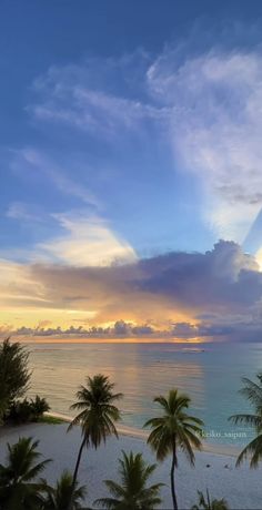 palm trees line the beach as the sun sets over the ocean in this tropical scene